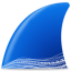 images/2020/03/wireshark.png}}