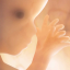 images/2020/04/Baby.png}}