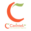 images/2020/04/CavinTek-cflow.png}}