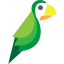 images/2020/04/EarlyParrot.png}}