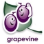 images/2020/04/Grapevine.png}}