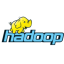 images/2020/04/Hadoop-HDFS.png}}