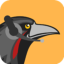 images/2020/04/Huginn.png}}