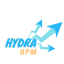 images/2020/04/Hydra-BPM.png}}