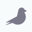 images/2020/04/Pgeon.png}}