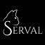 images/2020/04/The-Serval-Mesh.png}}