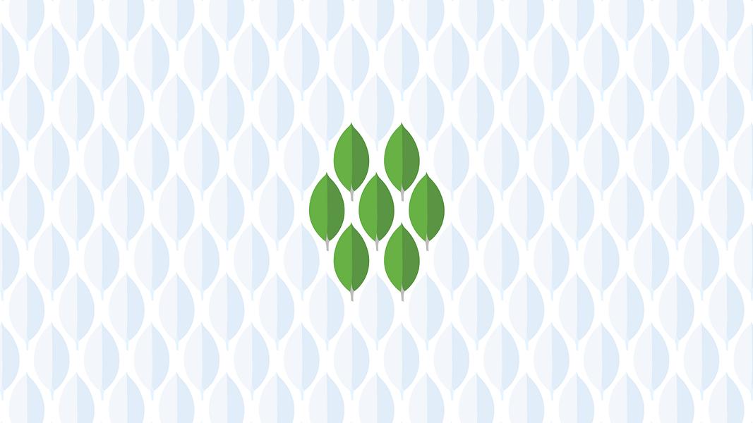 MongoDB Stitch image