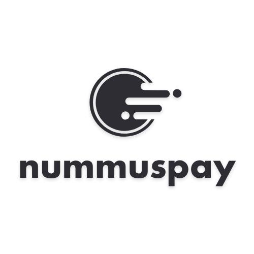 Nummuspay image