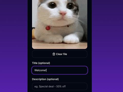 RocketLink image