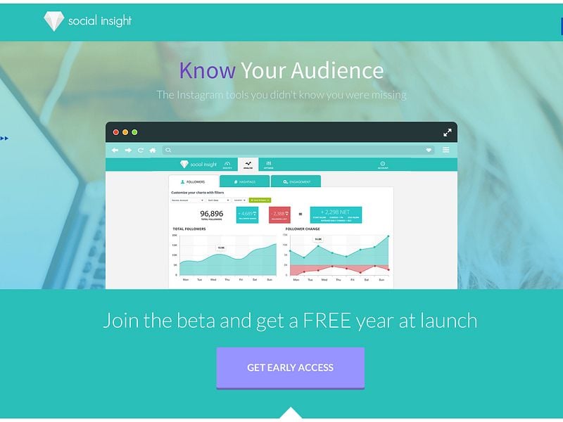 Social Insight image
