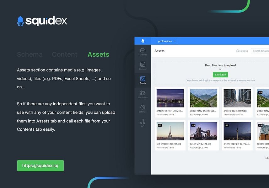 Squidex image